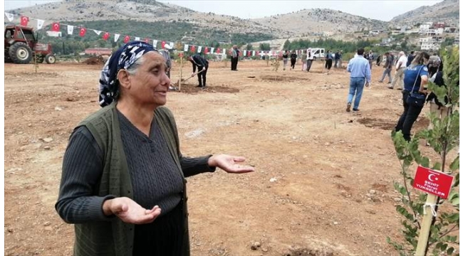 Şehitlerin anısına fidan dikimi yapıldı