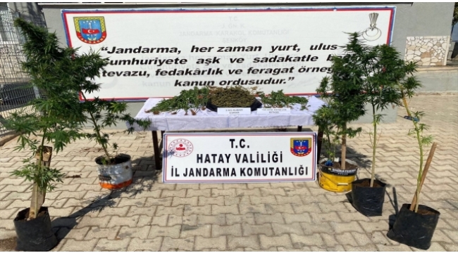 Sigara kaçakçılarına operasyon