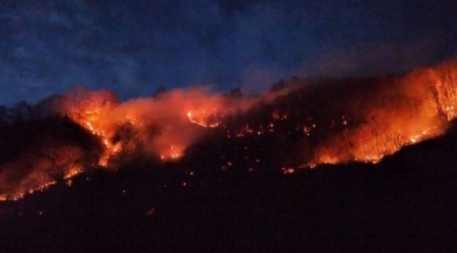 Yangın çıkaran 2 kardeş tutuklandı