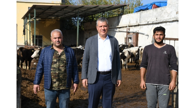 "90 liralık yem 200 lira oldu, inekler kesime gidiyor"