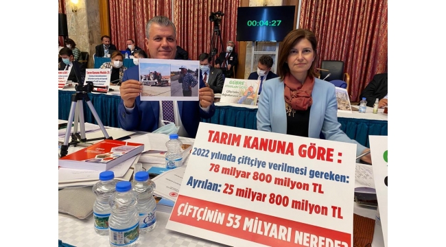 "Bakan rüyada yaşıyor, pembe tablolar çiziyor"