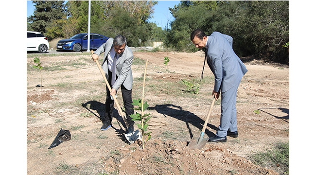 Balcalı kampüsüne 300 fidan dikildi