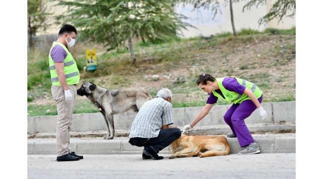SARIÇAM BELEDİYESİ’NİN ŞEFKAT ELİ SOKAK HAYVANLARINA UZANDI