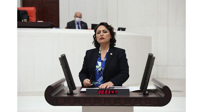 Şevkin: Tek adam rejimi ekonomik göstergeleri alt üst etti