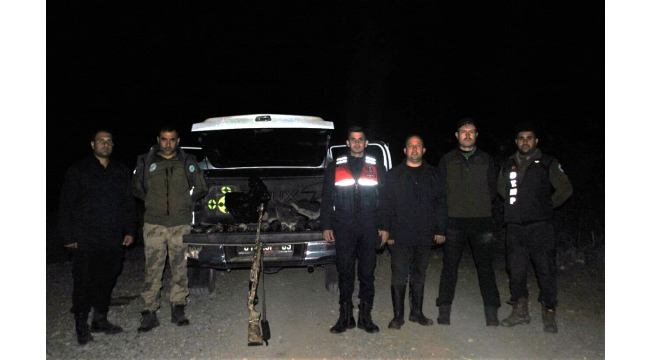 Yasa dışı avcılık yapan kişiye para cezası kesildi