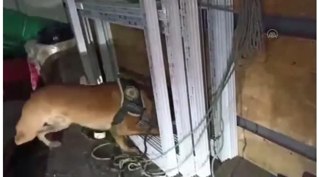 12 kilo 550 gram esrar ele geçirildi