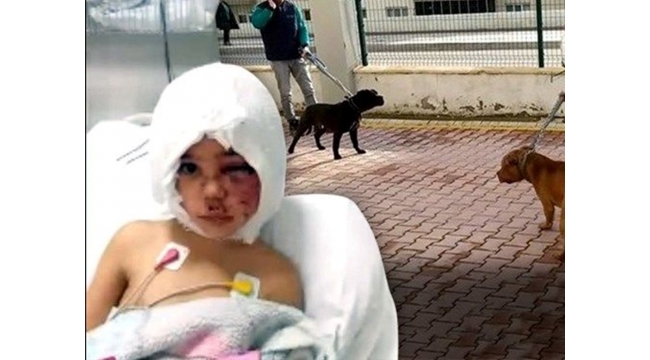 Asiye Ateş'in sağlık durumu hakkında açıklama yapıldı