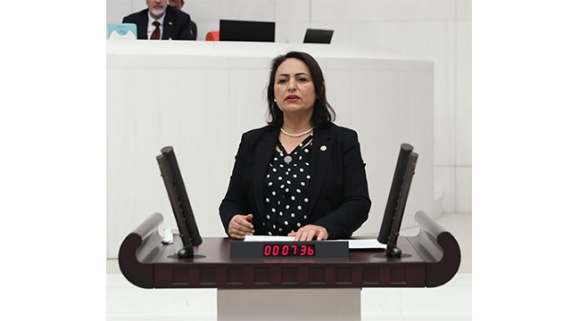 CHP’li Şevkin, 39 sağlık branşına maaş zammı istedi
