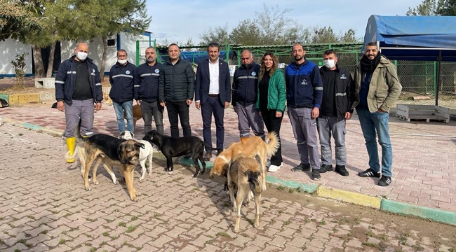 'Hiçbir hayvan ömrünün sonuna kadar barınağa hapsedilemez'