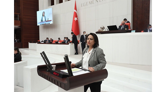 ‘Orman içi sulardan başka yer bulamadınız mı?’