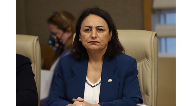 ‘Ormanlar parçalanıyor, yapılaşıyor’