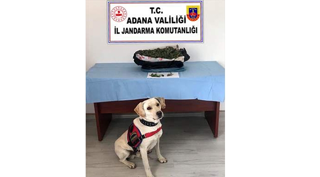Samanlıkta 10 kilo 370 gram esrar ele geçirildi