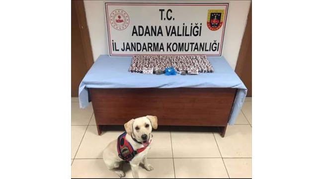Uyuşturucu tacirlerine operasyon:6 Gözaltı