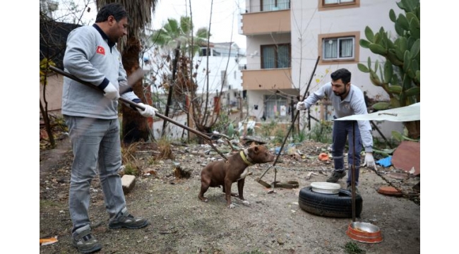 Anne oğlunu ihbar etti, ekipler harekete geçti