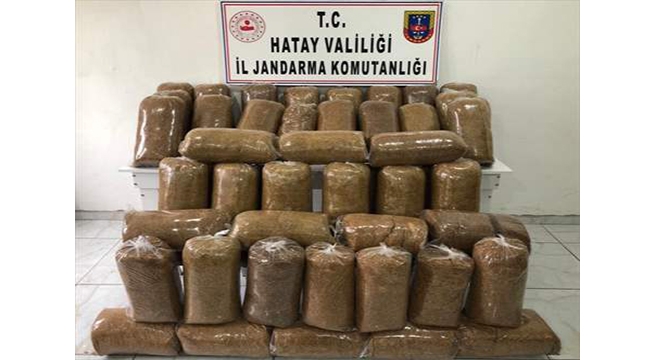 Hatay'da 250 kilogram kaçak tütün ele geçirildi