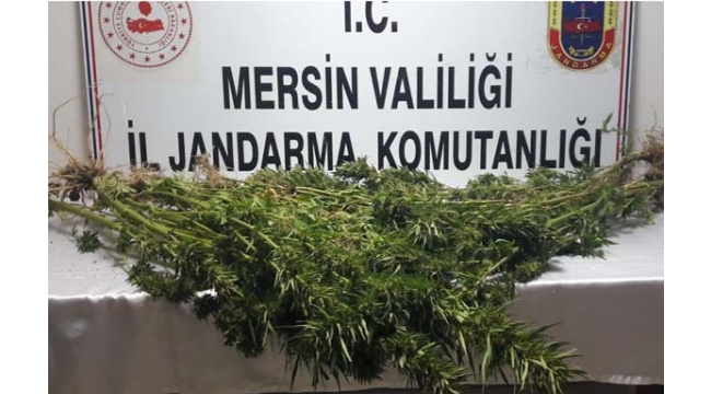 Mersin'de uyuşturucu operasyonu!