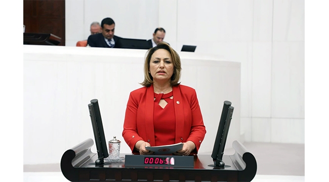 ‘Türkiye, enerji tehdidine boyun eğiyor’