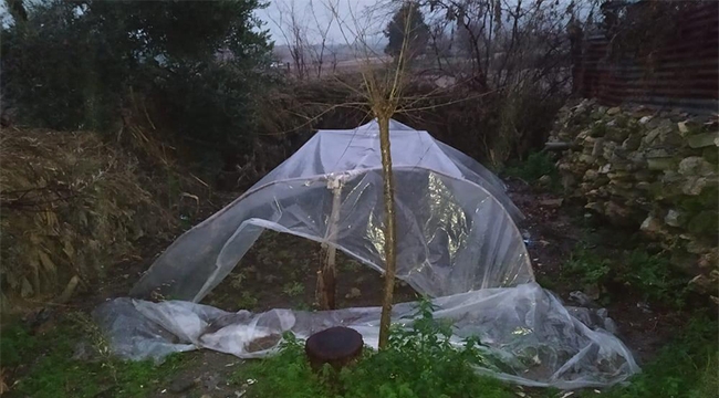 Uyuşturucu evi