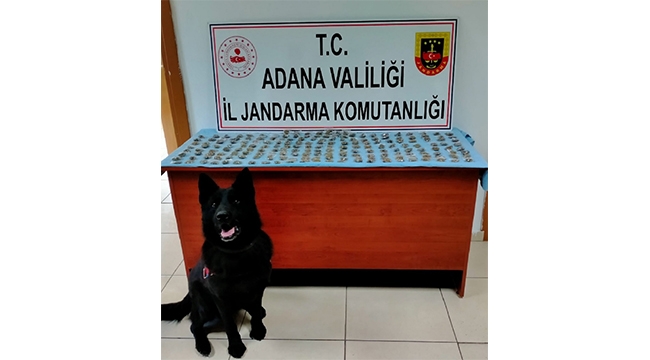 Yaklaşık 1 kg esrar ele geçirildi