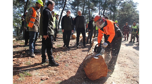 Ağaç kesme teknikleri öğretildi