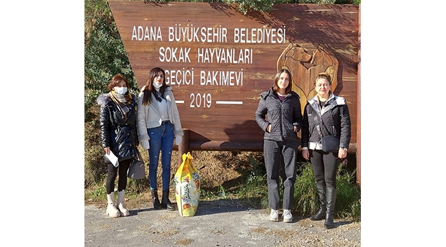 Avukatlardan hayvan barınağına ani baskın
