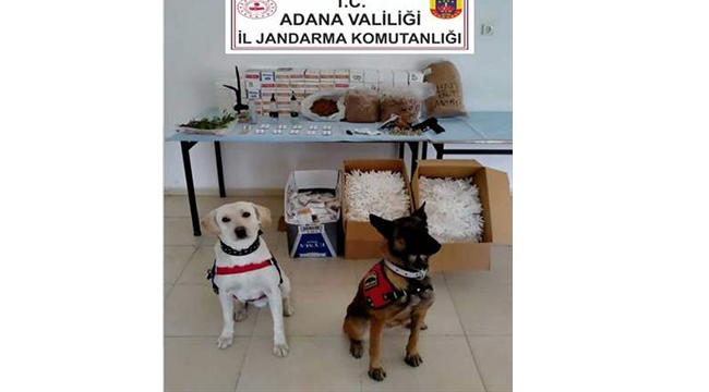Evinde ruhsatsız silah bulunduran 4 şüpheli tutuklandı