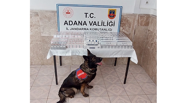 Kaçakçılara baskın