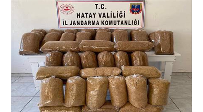 Kaçakçılık operasyonunda 7 şüpheli yakalandı