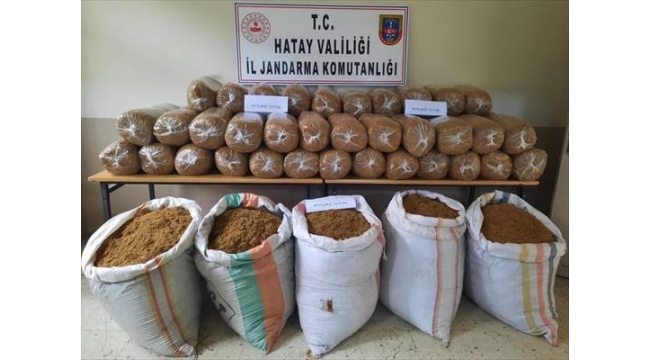 450 kilogram kaçak tütün ele geçirildi
