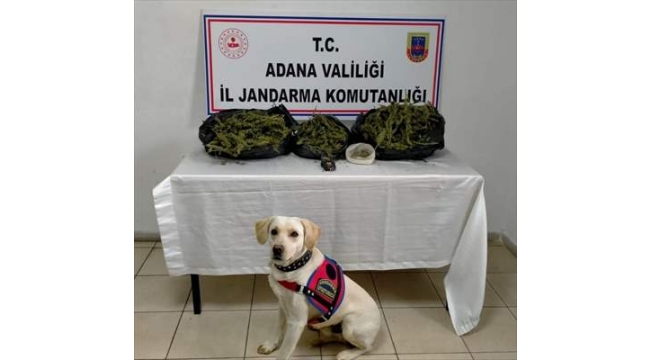 Adana'da uyuşturucu operasyonu:2 Gözaltı