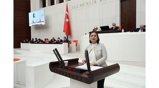 “Fay Yasası neden gündeme alınmıyor?”