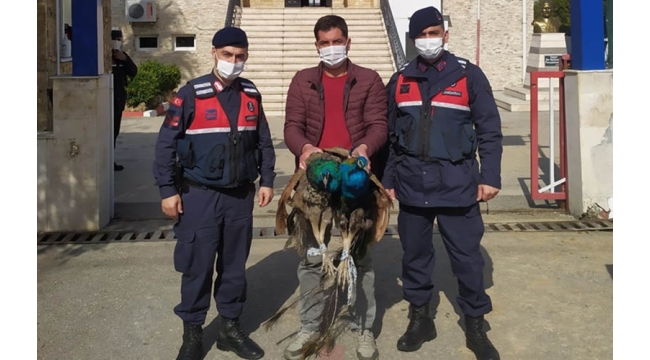 Hırsızlık şebekesine operasyon!