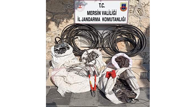 Hırsızlık şüphelisi 2 kişi gözaltına alındı