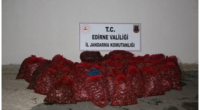 1 ton kum midyesi ele geçirildi