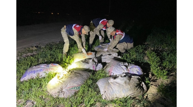 6,5 ton kaçak avlanmış balık ele geçirildi