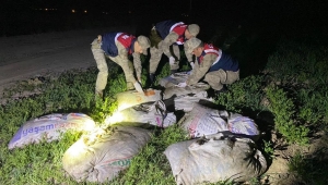 6,5 ton kaçak avlanmış balık ele geçirildi