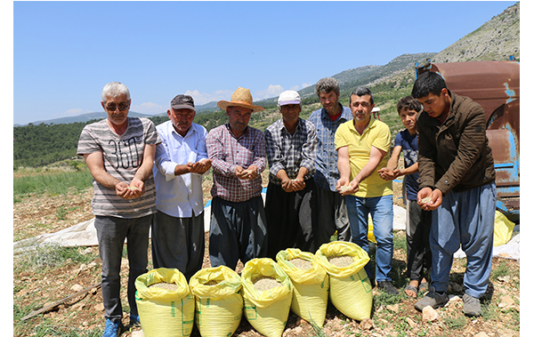 KURU BEZELYE MUTFAĞA GİRİYOR