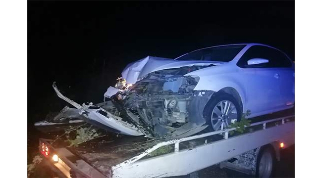 Önce köpeğe sonra elektrik direğine çarptı