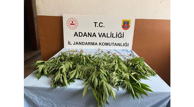 Adana'da narkotik uygulaması