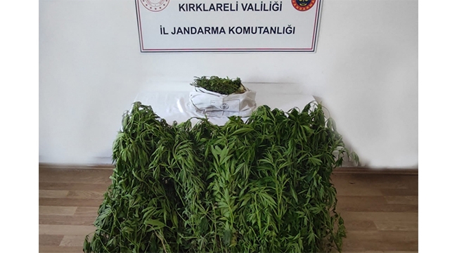 Dronla tespit edilen adreslere uyuşturucu baskını