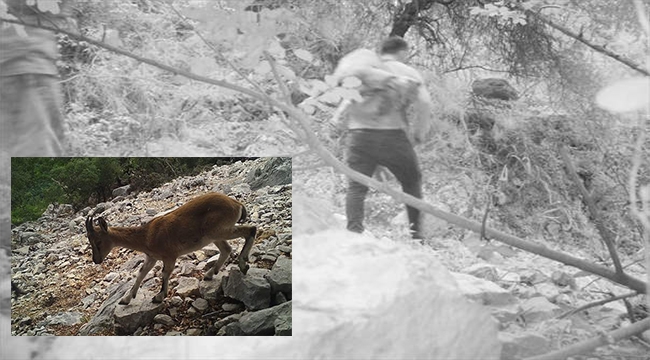 Kaçak avcılar fotokapana yakalandı
