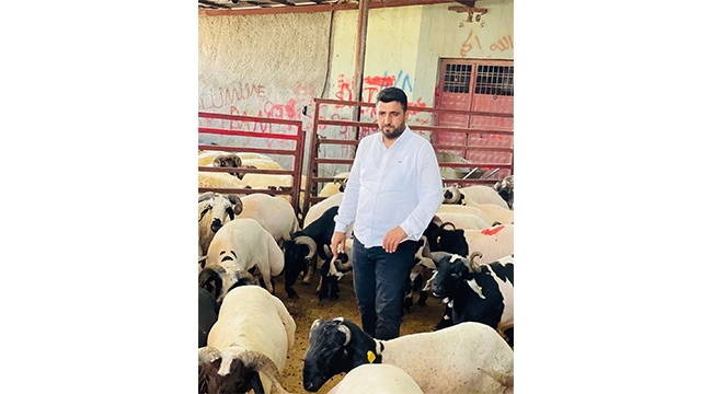 ‘Kurban fiyatlarında artış beklemiyoruz’