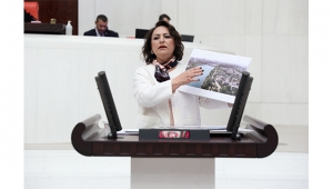 Mecliste Adana konuşuldu