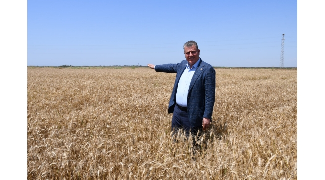 "Türkiye'de toprağın suyu mu çıktı?"