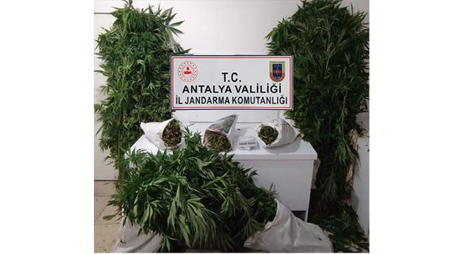 Uyuşturucu operasyonunda 1 şüpheli yakalandı
