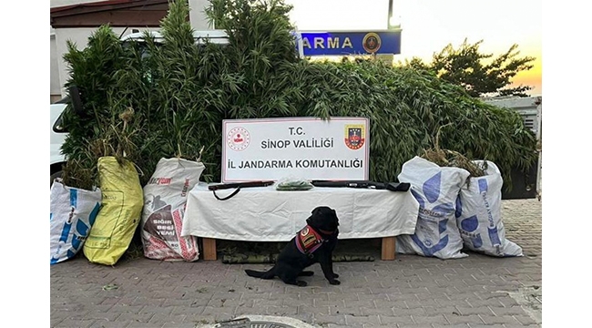 19 kilo esrar ele geçirildi