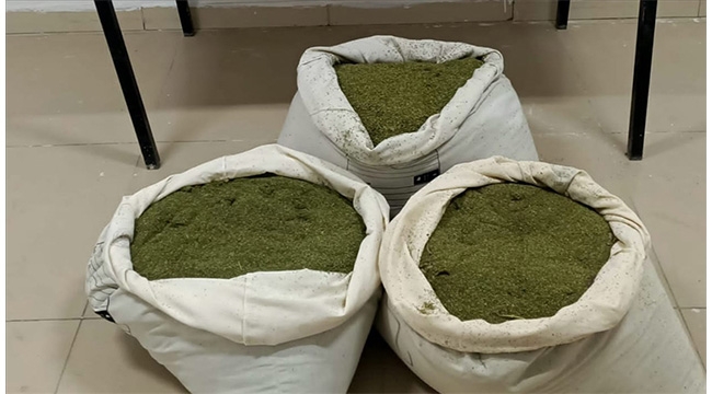 30 kilogram esrar ele geçirildi