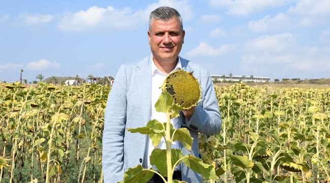 ‘Ayçiçeği fiyatı 15 liradan aşağı olmamalı’