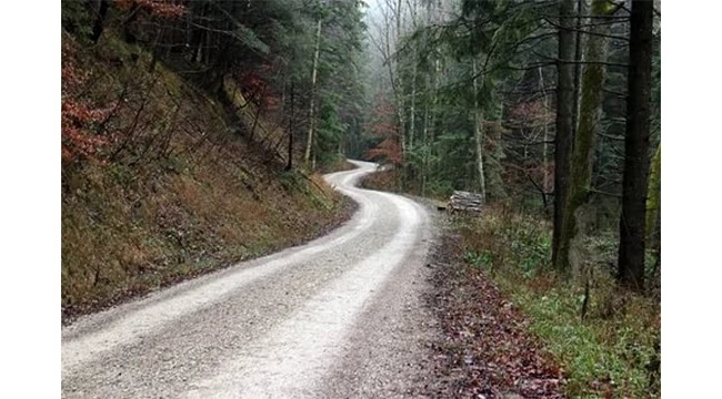 Orman yolu yaptırılacak