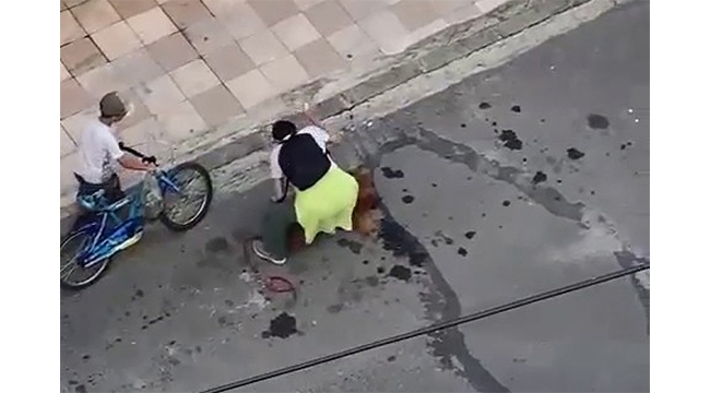 Sokak ortasında köpeğini darp etti!
